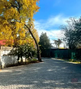 переваги перебування в пансіонаті